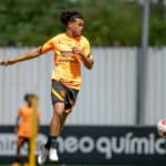 Reginaldo não está nos planos da comissão técnica, portanto será novamente emprestado. (Foto: Rodrigo Coca / Ag Corinthians)